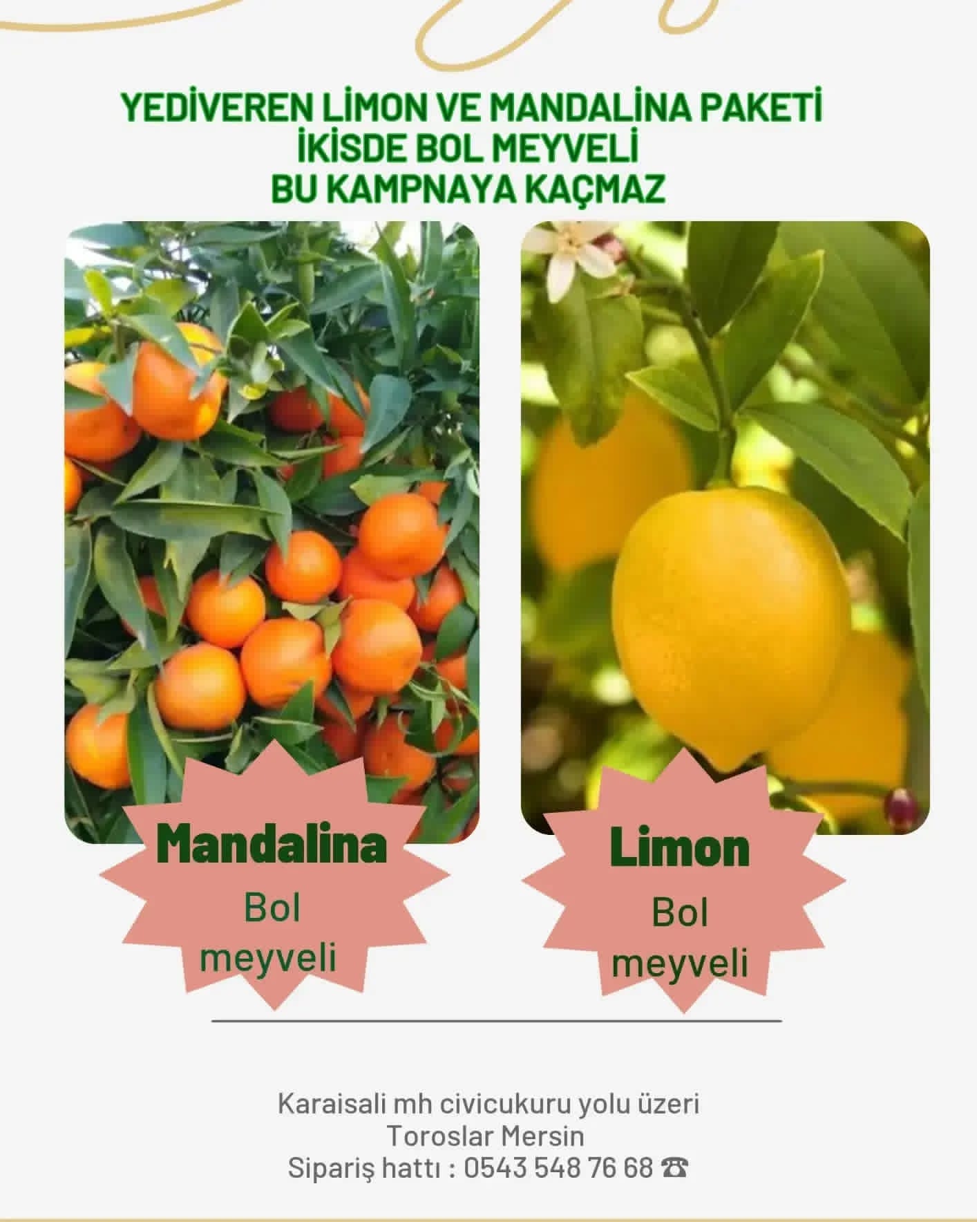 MEYVELİ YEDİVEREN LİMON + MANDALİNA AĞACI ÜCRETSİZ KARGO