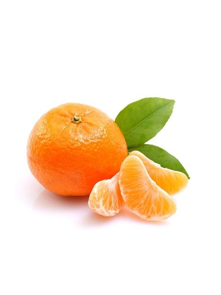 W.Murcutt Mandalina Fidanı , +120 cm ve üzeri